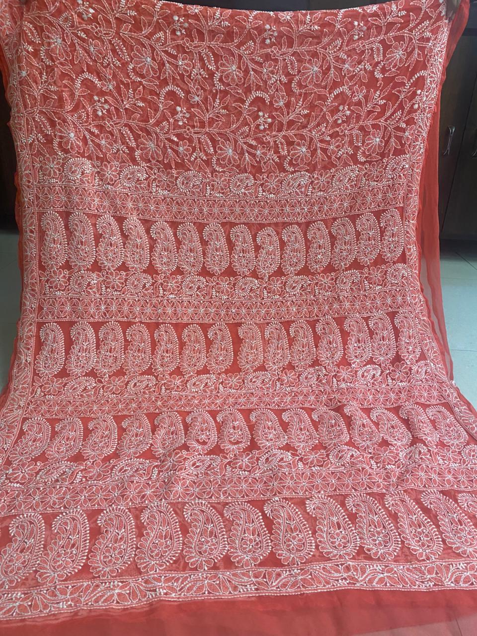 Coral Chikankari Saree with Heavy Paisley Work
