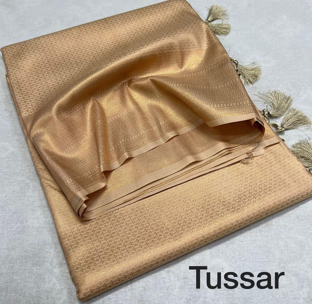 Classic Tussar Silk Saree with Golden Zari Detailing